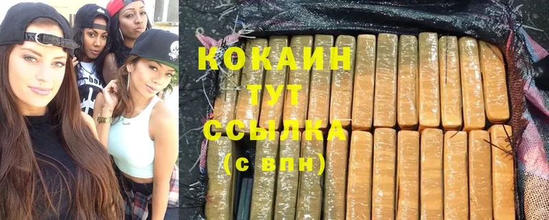 купить наркотик  Кондопога  блэк спрут ссылки  Cocaine FishScale 